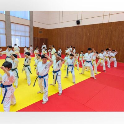 型講習会 - 国際空手道連盟 極真会館 栃木南支部 - 行事予定