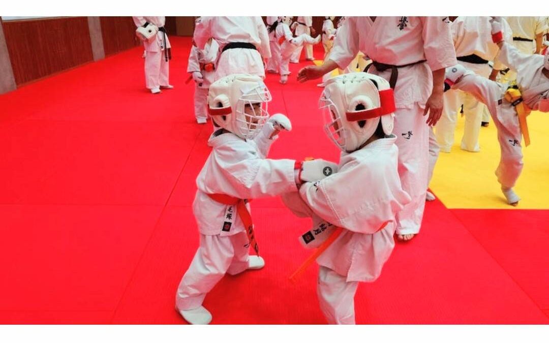 国際空手道連盟 極真会館 栃木南支部：