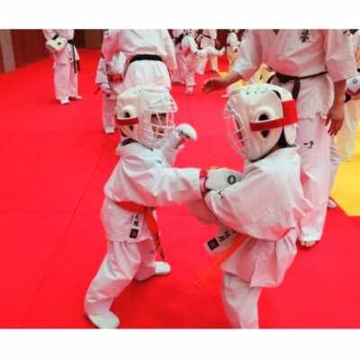 支部内組手練習試合 - 国際空手道連盟 極真会館 栃木南支部 - 行事予定