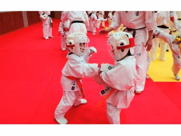 国際空手道連盟 極真会館 栃木南支部 - 行事予定 - 支部内組手練習試合